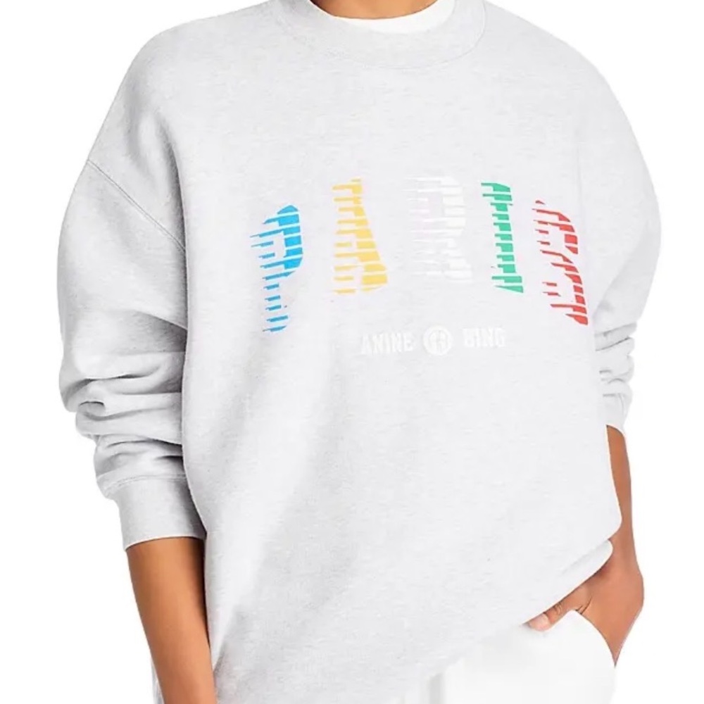 NWT Anine Bing sweatshirt Paris size S